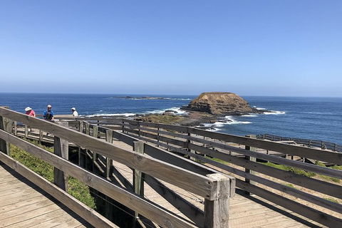 Day Tour Of Phillip Island, The Surrounding Region And Wine Tasting - Maitland Accommodation 14