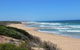 Day Tour Of Phillip Island, The Surrounding Region And Wine Tasting - thumb 5