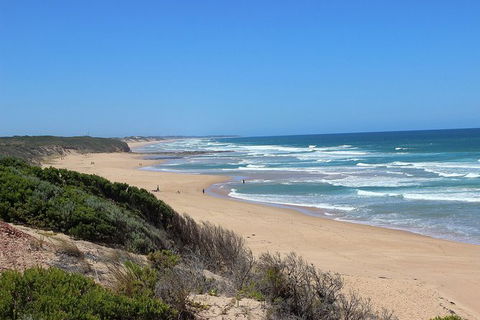 Day Tour Of Phillip Island, The Surrounding Region And Wine Tasting - Maitland Accommodation 5
