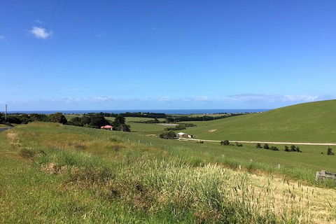 Day Tour Of Phillip Island, The Surrounding Region And Wine Tasting - Maitland Accommodation 6