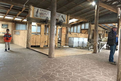 Day Tour Of Phillip Island, The Surrounding Region And Wine Tasting - Maitland Accommodation 8