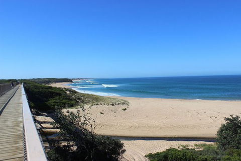 Day Tour Of Phillip Island, The Surrounding Region And Wine Tasting - Maitland Accommodation 4