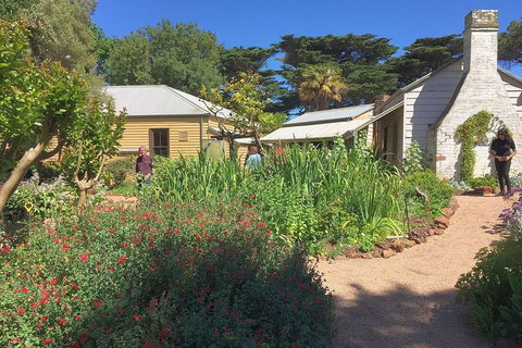 Phillip Island Tour Including Phillip Island Penguin Parade - Maitland Accommodation 9