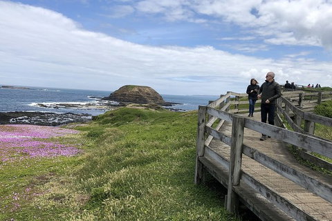 Phillip Island Tour Including Phillip Island Penguin Parade - Maitland Accommodation 10