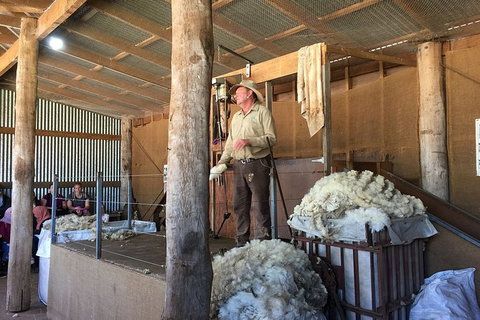 Phillip Island Tour Including Phillip Island Penguin Parade - Maitland Accommodation 5