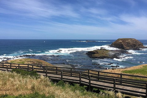 Phillip Island Tour Including Phillip Island Penguin Parade - Maitland Accommodation 6