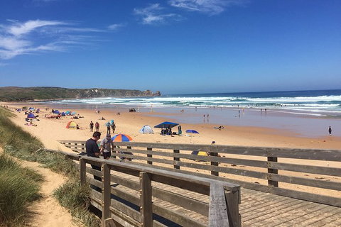 Phillip Island Tour Including Phillip Island Penguin Parade - Maitland Accommodation 2