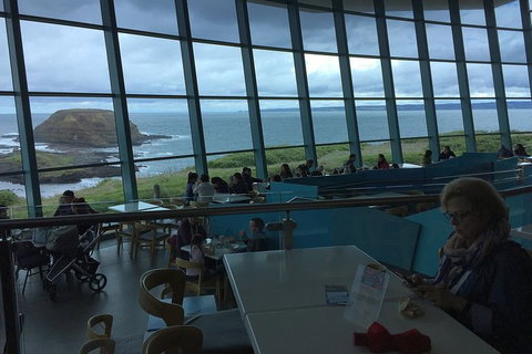 Phillip Island Tour Including Phillip Island Penguin Parade - Maitland Accommodation 4