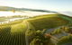 Yarra Valley Wine Tour With Local Harvest Tastings From Melbourne - thumb 7