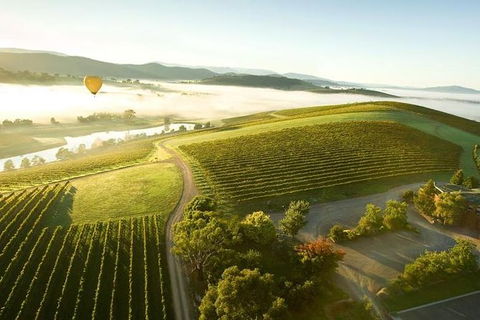Yarra Valley Wine Tour With Local Harvest Tastings From Melbourne - Maitland Accommodation 7