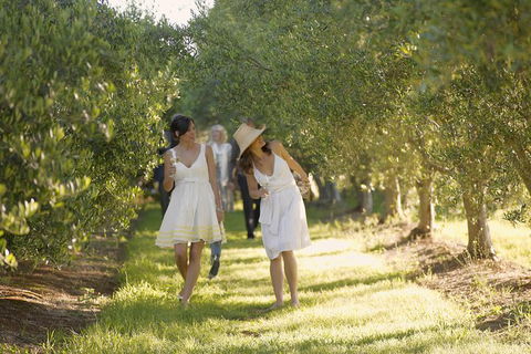 Yarra Valley Wine Tour With Local Harvest Tastings From Melbourne - Maitland Accommodation 8