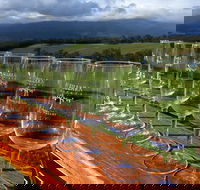 Yarra Valley Local Produce and Wine Tasting Tour - Maitland Accommodation