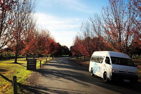 Small-Group Guided Yarra Valley Winery Tour With Wine Tasting - Maitland Accommodation 13