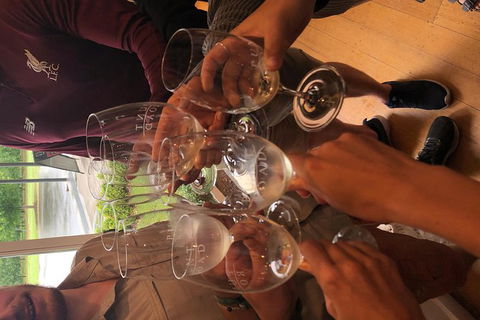 Small-Group Guided Yarra Valley Winery Tour With Wine Tasting - Maitland Accommodation 5