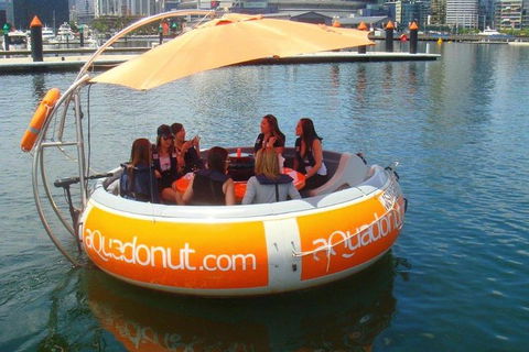 Aquadonut BBQ Boat Hire - Maitland Accommodation 0