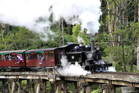 Dandenong Ranges & Puffing Billy - Maitland Accommodation 0