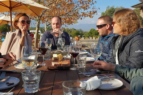 An Amazing Day With Felix - Premium Yarra Valley Wine Tour - Maitland Accommodation 0