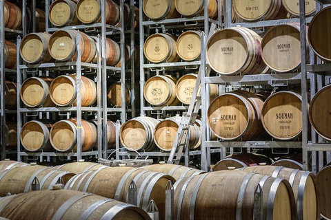 Yarra Valley Public Winery Tours - Maitland Accommodation 14