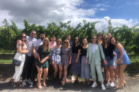 Yarra Valley Public Winery Tours - Maitland Accommodation 16