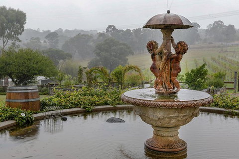 Yarra Valley Public Winery Tours - Maitland Accommodation 6