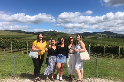 Yarra Valley Public Winery Tours - Maitland Accommodation 15