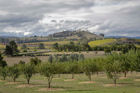Yarra Valley Public Winery Tours - Maitland Accommodation 5