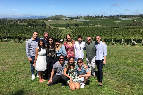 Yarra Valley Public Winery Tours - Maitland Accommodation 21