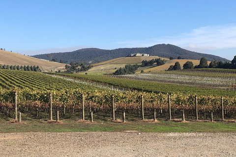 Yarra Valley Public Winery Tours - Maitland Accommodation 17