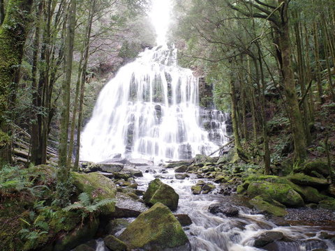 5-Day Best Of Tasmania Tour From Hobart - Maitland Accommodation 2