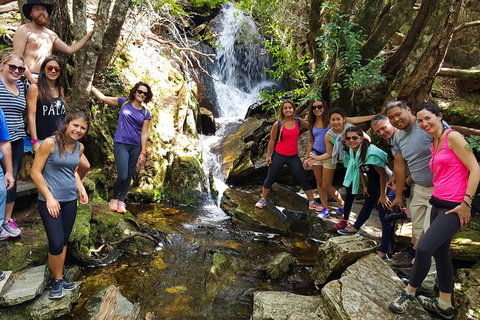 5-Day Best Of Tasmania Tour From Hobart - Maitland Accommodation 9