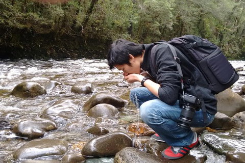 5-Day Best Of Tasmania Tour From Hobart - Maitland Accommodation 11