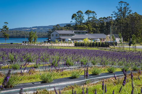 Private Tasman Peninsula Cruise Ship Tour From Port Arthur - Maitland Accommodation 0