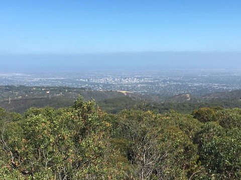 Adelaide Hills And Hahndorf Tour From Adelaide With Wine And Cheese Tasting - Maitland Accommodation 8