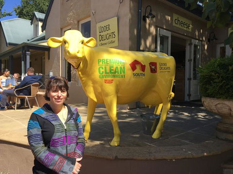 Adelaide Hills And Hahndorf Tour From Adelaide With Wine And Cheese Tasting - Maitland Accommodation 2