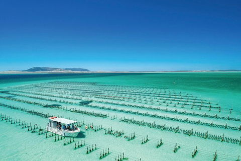 Coffin Bay Day Tour - A Taste Of Coffin Bay - Maitland Accommodation 0