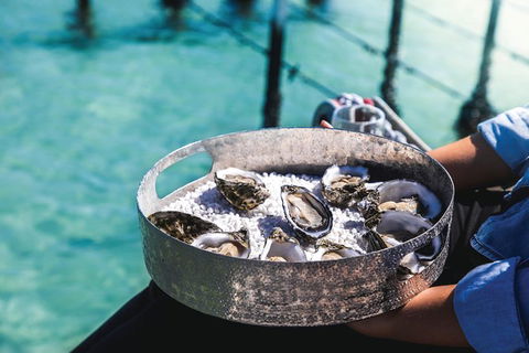 Coffin Bay Day Tour - A Taste Of Coffin Bay - Maitland Accommodation 8