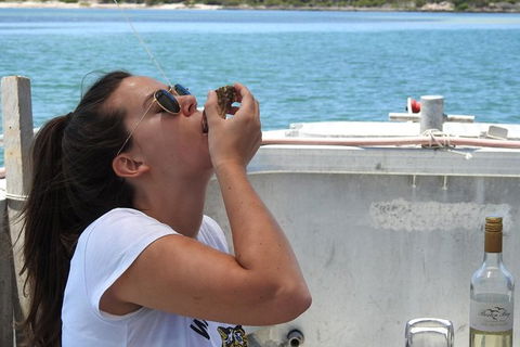 Coffin Bay Day Tour - A Taste Of Coffin Bay - Maitland Accommodation 15