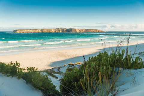 Coffin Bay Day Tour - A Taste Of Coffin Bay - Maitland Accommodation 13