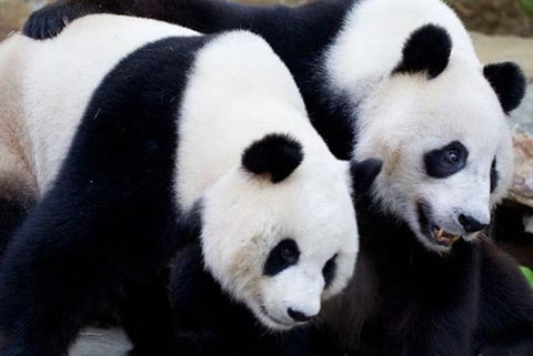 Adelaide City Tour With Optional River Cruise And Adelaide Zoo Admission - Maitland Accommodation 1