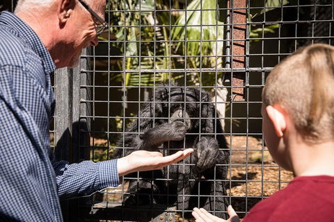 Adelaide Zoo Behind The Scenes Experience: Meet The Primates - Maitland Accommodation 1