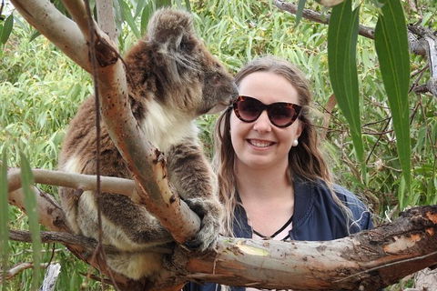 One Day Port Lincoln Tour - Tasting Eyre - Maitland Accommodation 0