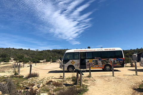 One Day Port Lincoln Tour - Tasting Eyre - Maitland Accommodation 9