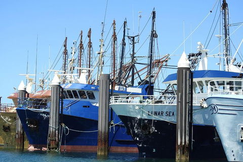 One Day Port Lincoln Tour - Tasting Eyre - Maitland Accommodation 8