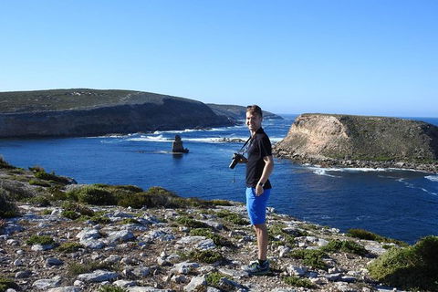 One Day Port Lincoln Tour - Tasting Eyre - Maitland Accommodation 11