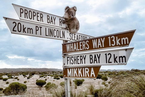 One Day Port Lincoln Tour - Tasting Eyre - Maitland Accommodation 4