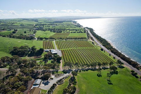 One Day Port Lincoln Tour - Tasting Eyre - Maitland Accommodation 10