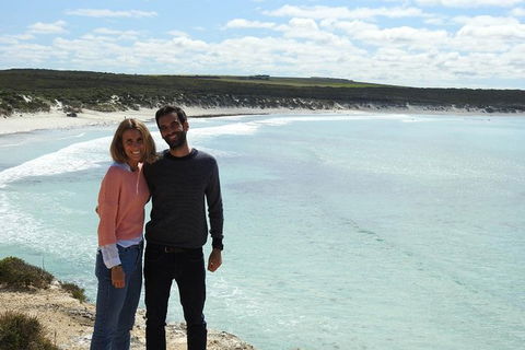 One Day Port Lincoln Tour - Tasting Eyre - Maitland Accommodation 12
