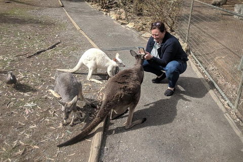 A Taste Of Adelaide And Hahndorf By Car Private Tour. - Maitland Accommodation 8