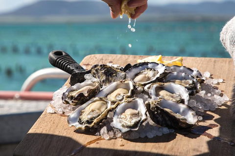 Experience Coffin Bay Short And Sweet Oyster Farm Tour - Maitland Accommodation 0