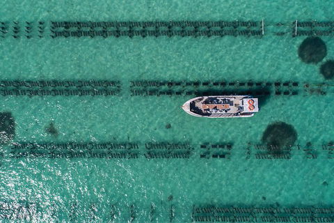 Experience Coffin Bay Short And Sweet Oyster Farm Tour - Maitland Accommodation 1